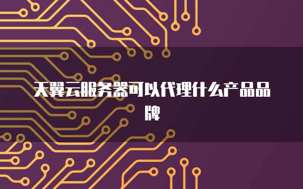 天翼云服务器可以代理什么产品品牌