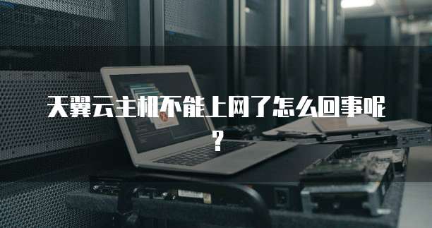 天翼云主机不能上网了怎么回事呢？