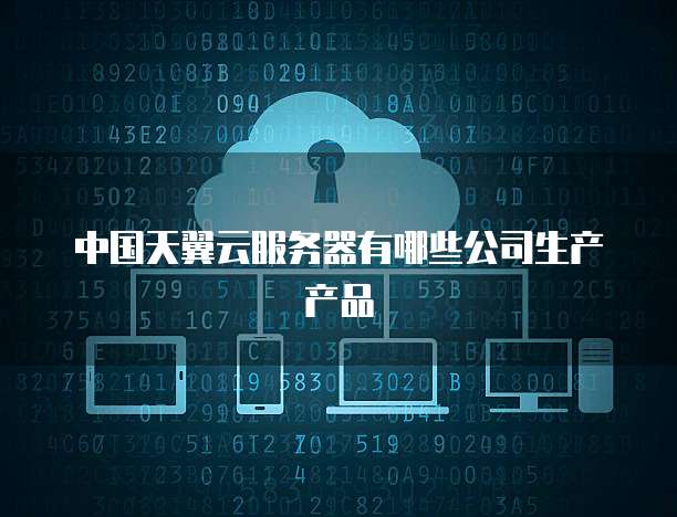 中国天翼云服务器有哪些公司生产产品
