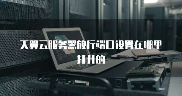 天翼云服务器放行端口设置在哪里打开的