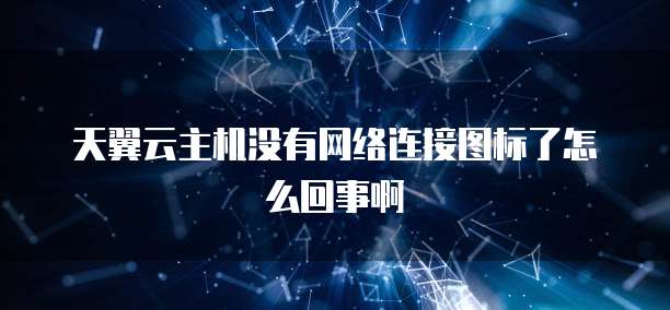 天翼云主机没有网络连接图标了怎么回事啊