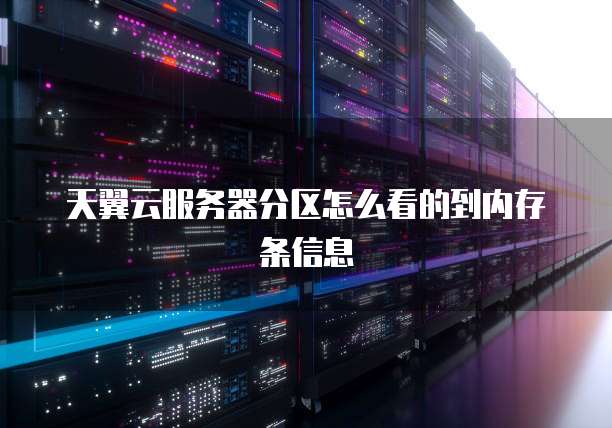 天翼云服务器分区怎么看的到内存条信息