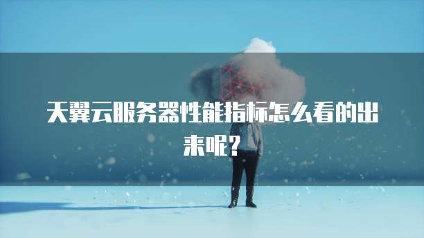 天翼云服务器性能指标怎么看的出来呢？