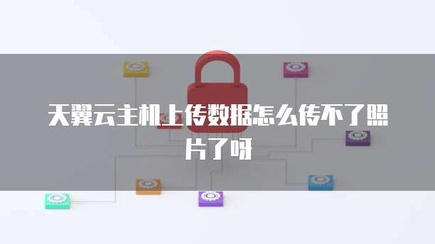 天翼云主机上传数据怎么传不了照片了呀