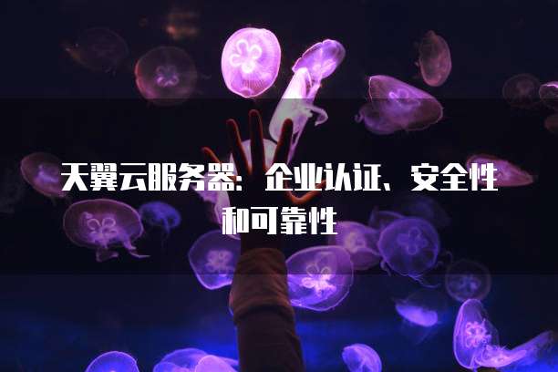 天翼云服务器：企业认证、安全性和可靠性