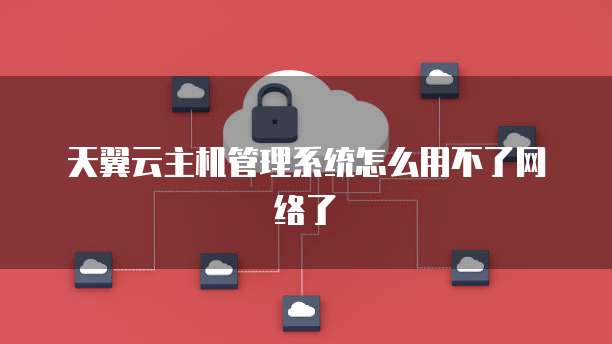 天翼云主机管理系统怎么用不了网络了