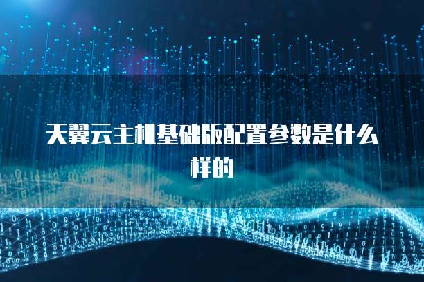 天翼云主机基础版配置参数是什么样的