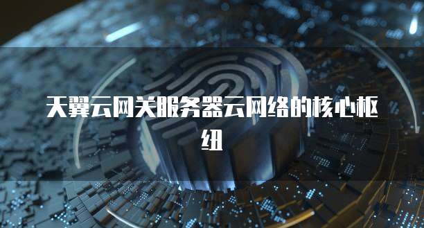 天翼云网关服务器云网络的核心枢纽