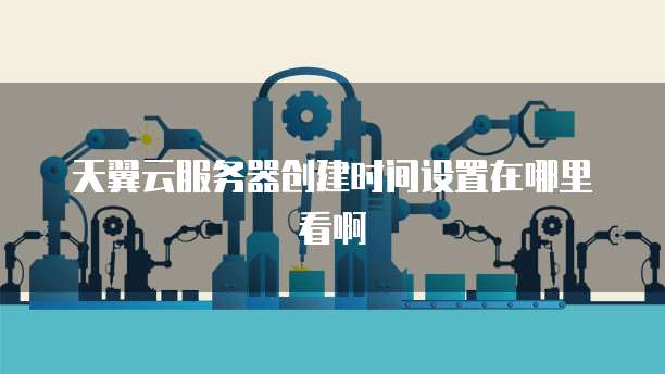 天翼云服务器创建时间设置在哪里看啊