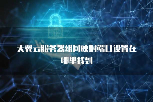 天翼云服务器组网映射端口设置在哪里找到