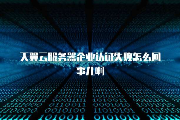 天翼云服务器企业认证失败怎么回事儿啊