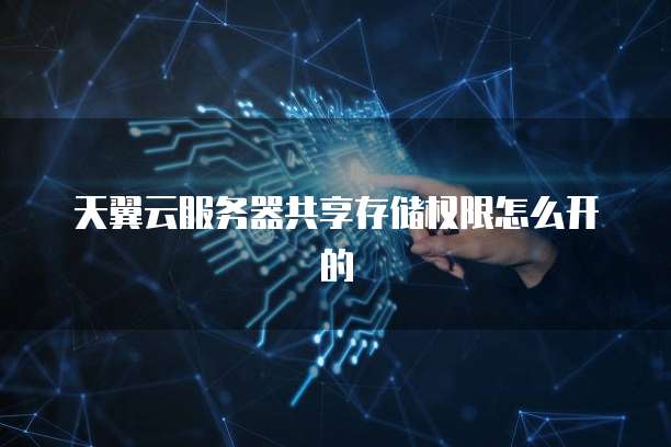 天翼云服务器共享存储权限怎么开的