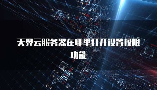 天翼云服务器在哪里打开设置权限功能