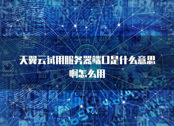 天翼云试用服务器端口是什么意思啊怎么用