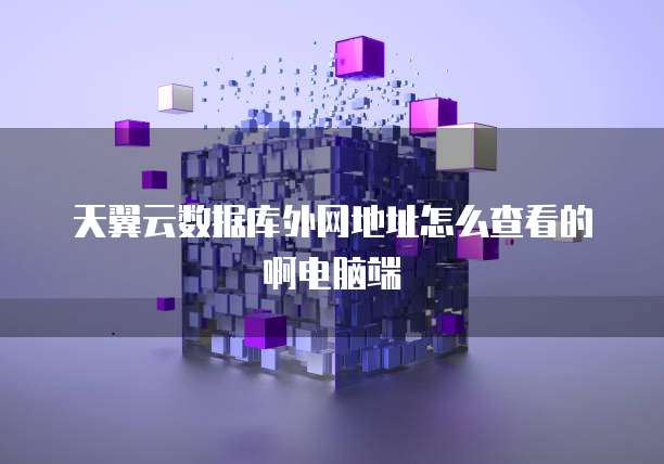 天翼云数据库外网地址怎么查看的啊电脑端