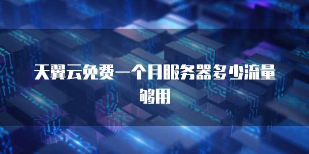 天翼云免费一个月服务器多少流量够用