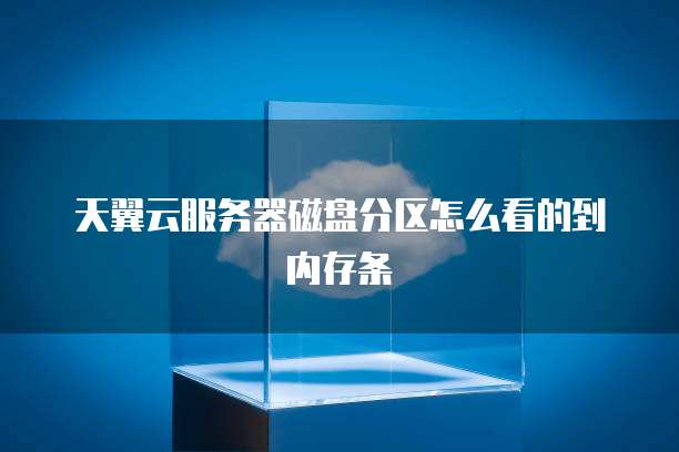 天翼云服务器磁盘分区怎么看的到内存条