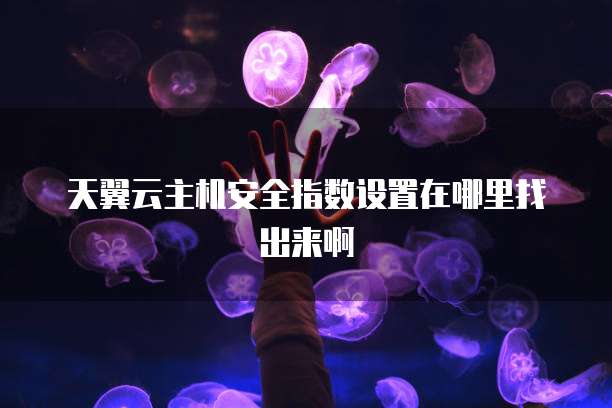 天翼云主机安全指数设置在哪里找出来啊