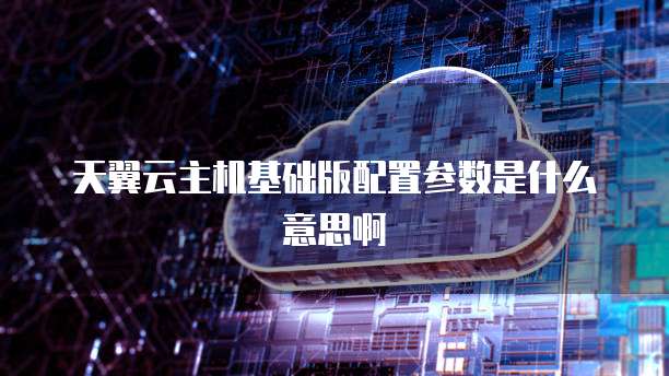 天翼云主机基础版配置参数是什么意思啊