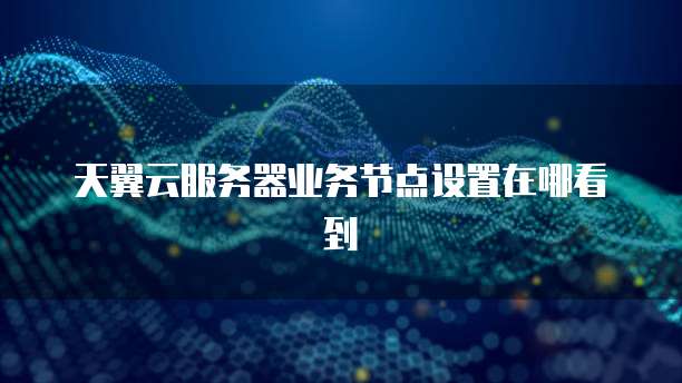 天翼云服务器业务节点设置在哪看到