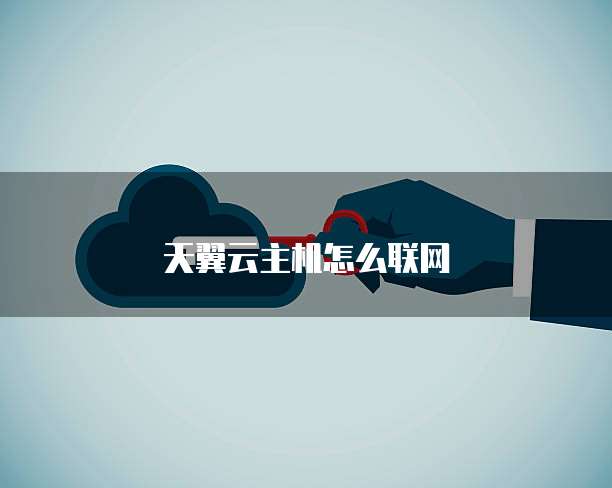 天翼云主机怎么联网