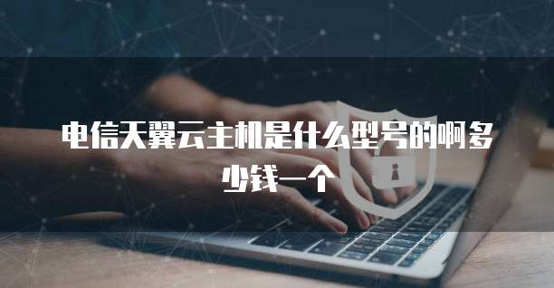 电信天翼云主机是什么型号的啊多少钱一个