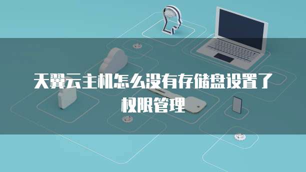 天翼云主机怎么没有存储盘设置了权限管理