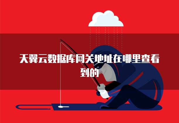 天翼云数据库网关地址在哪里查看到的