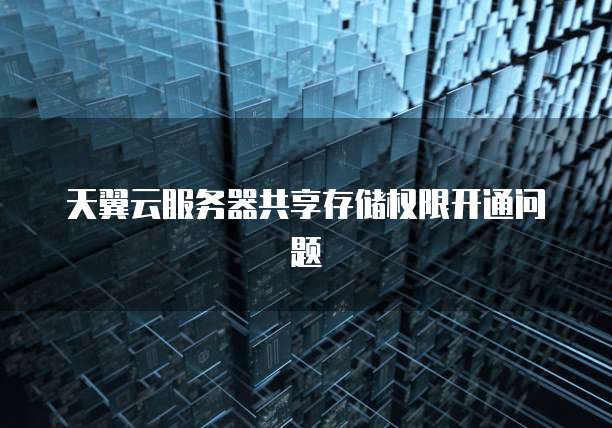 天翼云服务器共享存储权限开通问题