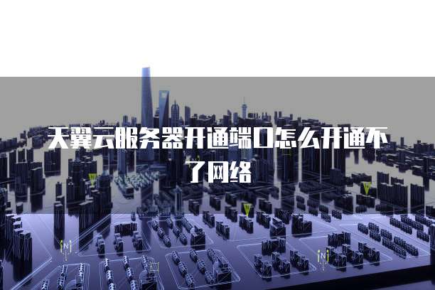 天翼云服务器开通端口怎么开通不了网络