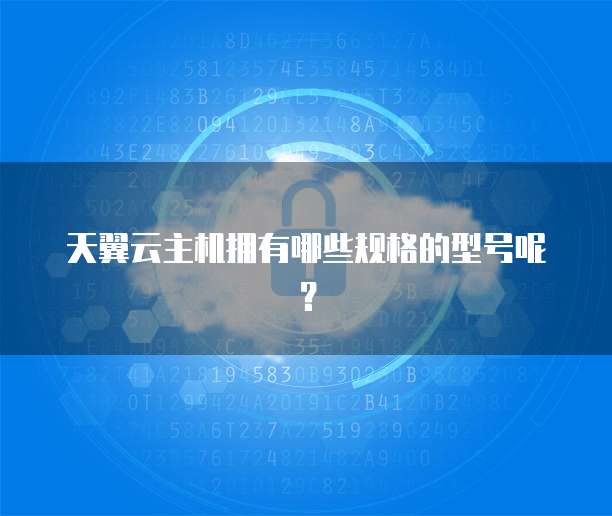 天翼云主机拥有哪些规格的型号呢？