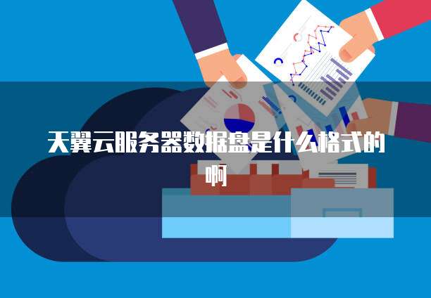 天翼云服务器数据盘是什么格式的啊