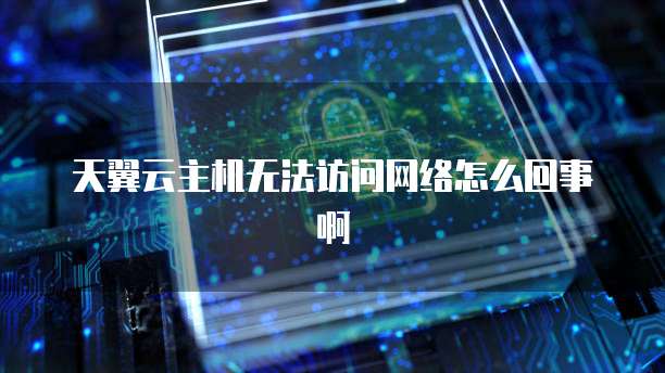 天翼云主机无法访问网络怎么回事啊