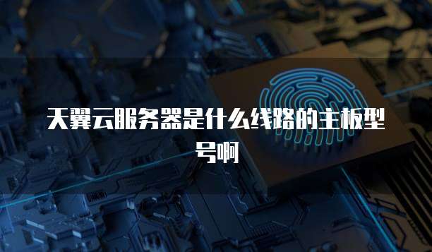 天翼云服务器是什么线路的主板型号啊
