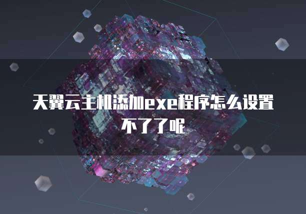 天翼云主机添加exe程序怎么设置不了了呢