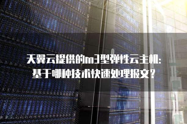 天翼云提供的m3型弹性云主机：基于哪种技术快速处理报文？