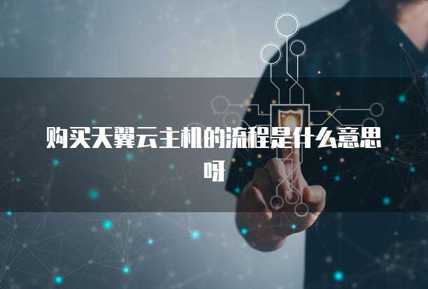 购买天翼云主机的流程是什么意思呀
