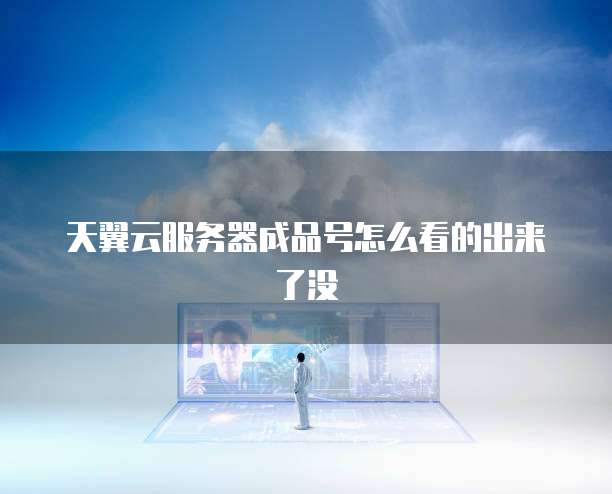 天翼云服务器成品号怎么看的出来了没