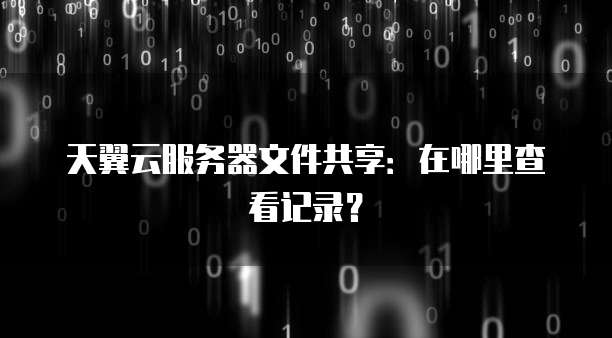 天翼云服务器文件共享：在哪里查看记录？