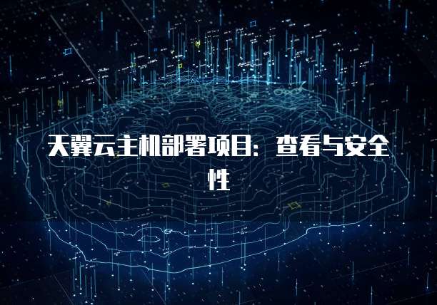 天翼云主机部署项目：查看与安全性
