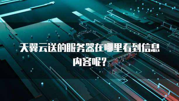 天翼云送的服务器在哪里看到信息内容呢？