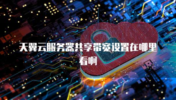天翼云服务器共享带宽设置在哪里看啊