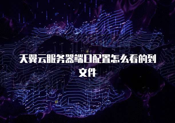 天翼云服务器端口配置怎么看的到文件
