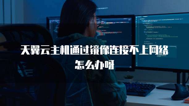 天翼云主机通过镜像连接不上网络怎么办呀