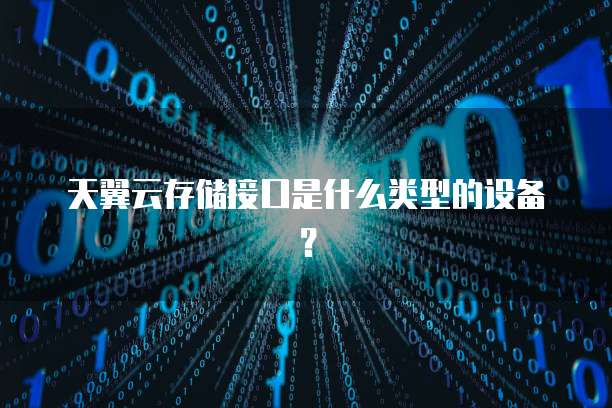 天翼云存储接口是什么类型的设备？