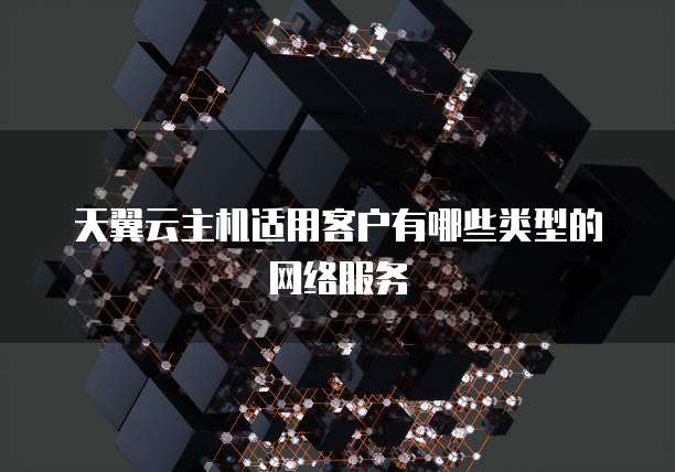 天翼云主机适用客户有哪些类型的网络服务