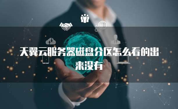 天翼云服务器磁盘分区怎么看的出来没有