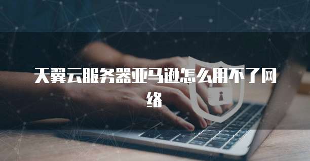 天翼云服务器亚马逊怎么用不了网络