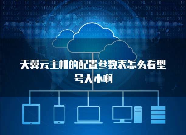 天翼云主机的配置参数表怎么看型号大小啊