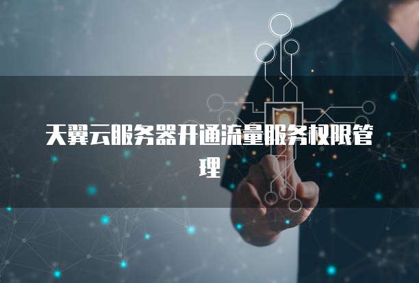 天翼云服务器开通流量服务权限管理